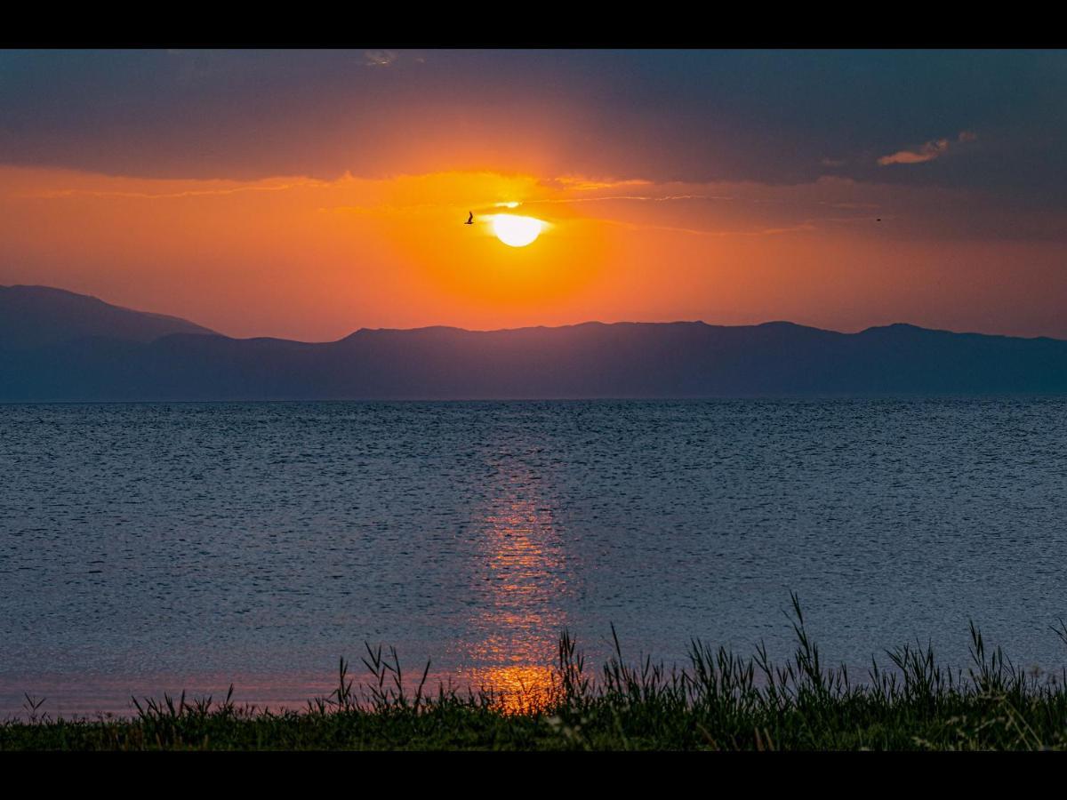 Villa Rania Skala Rachoni  Esterno foto