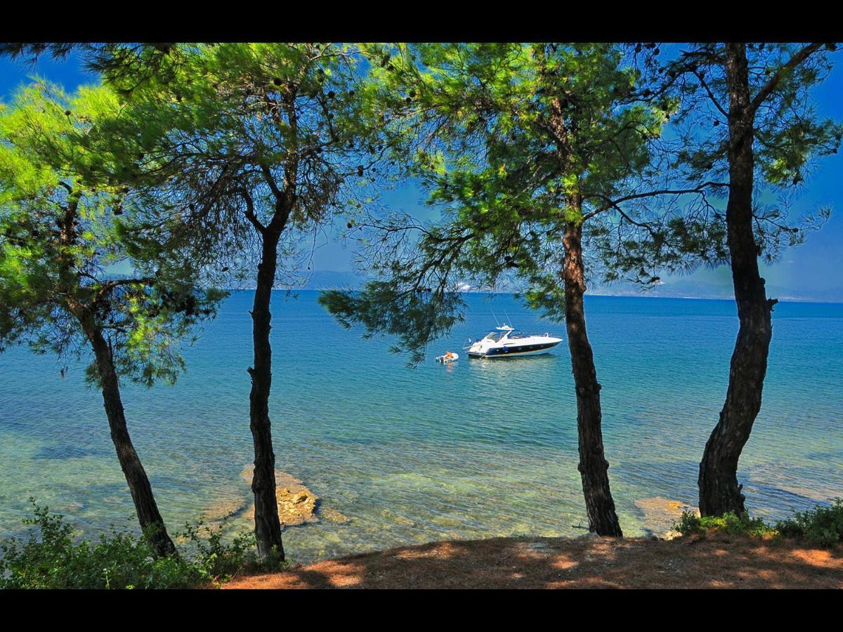 Villa Rania Skala Rachoni  Esterno foto